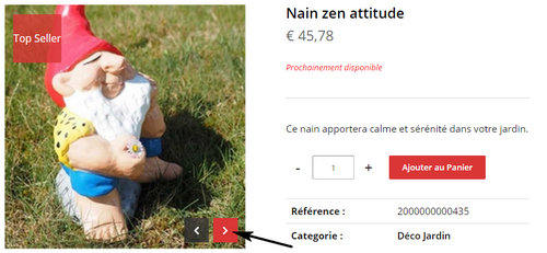 nain dans le site